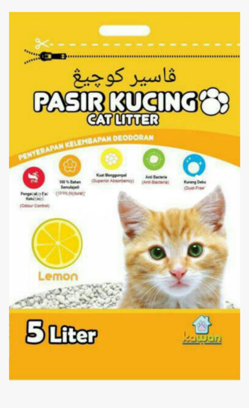 Picsart 10 21 - Cat, HD Png Download, Free Download