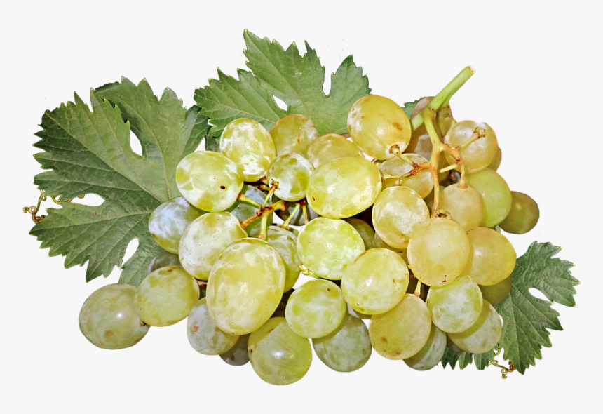 Grapes, Fruit, Bunch, Healthy, Food, Harvest, Vines - Pixabay Grapes Cut Outs, HD Png Download, Free Download