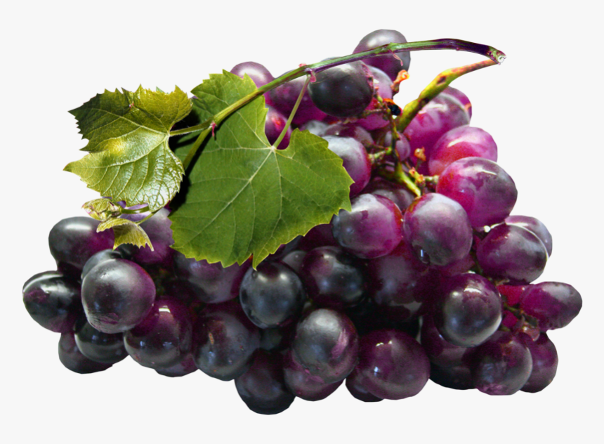 Grape Png, Transparent Png, Free Download