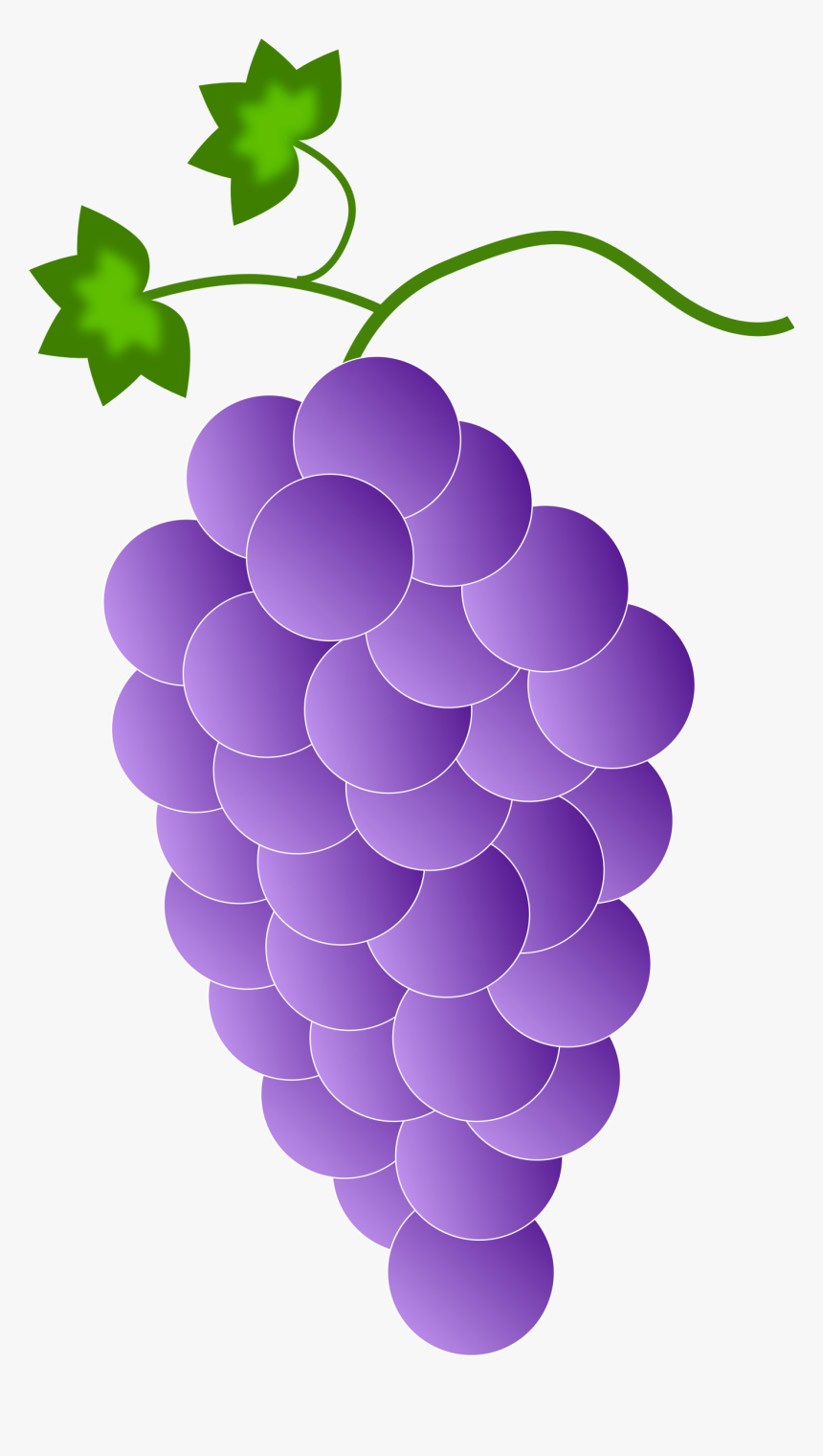 Grape Seed Extract,plant,grape - Purple Grapes, HD Png Download, Free Download