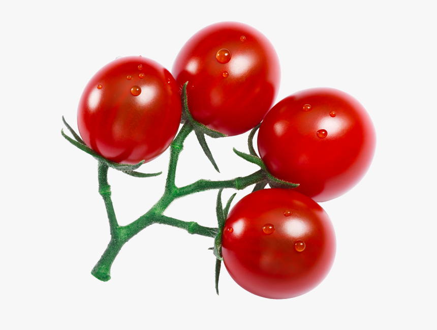 Plum Tomato, HD Png Download, Free Download