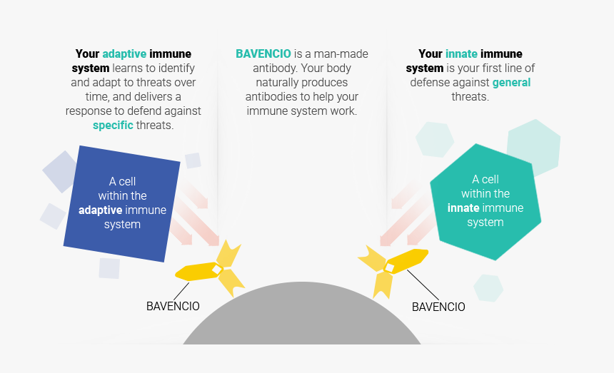 Diagram, HD Png Download, Free Download