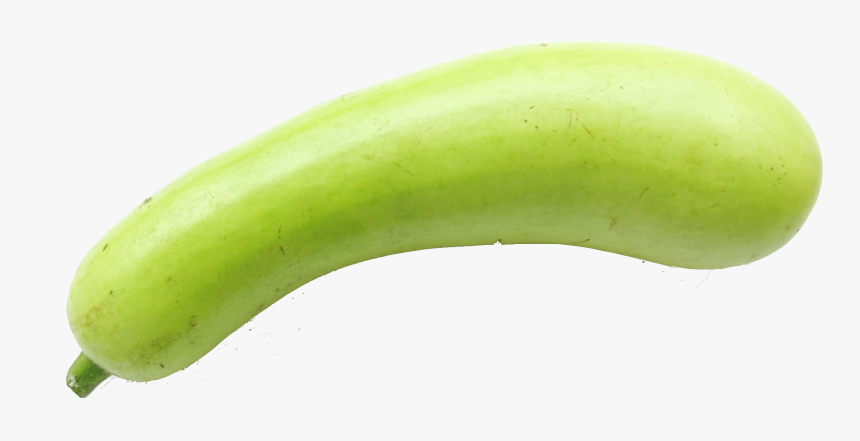 Hd Vegetables Transparent Png - Bottle Gourd Vegetable Png, Png Download, Free Download
