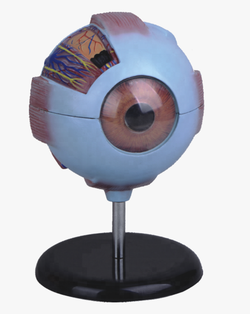 Figurine, HD Png Download, Free Download