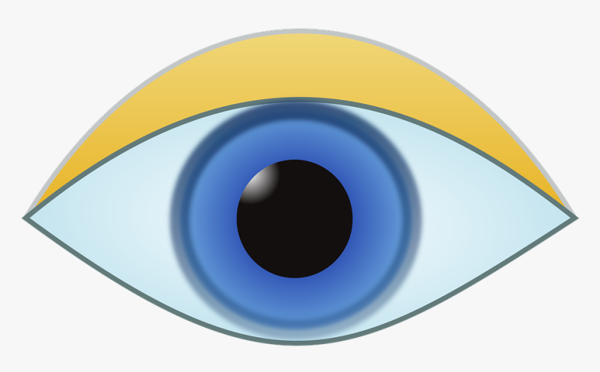Eye, Iris, Look, Vision, Human, Pupil, Sight, Focus - Circle, HD Png Download, Free Download