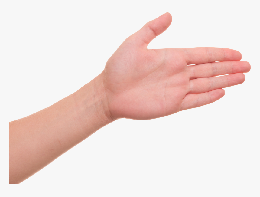 Palm Of Hand Png, Transparent Png, Free Download