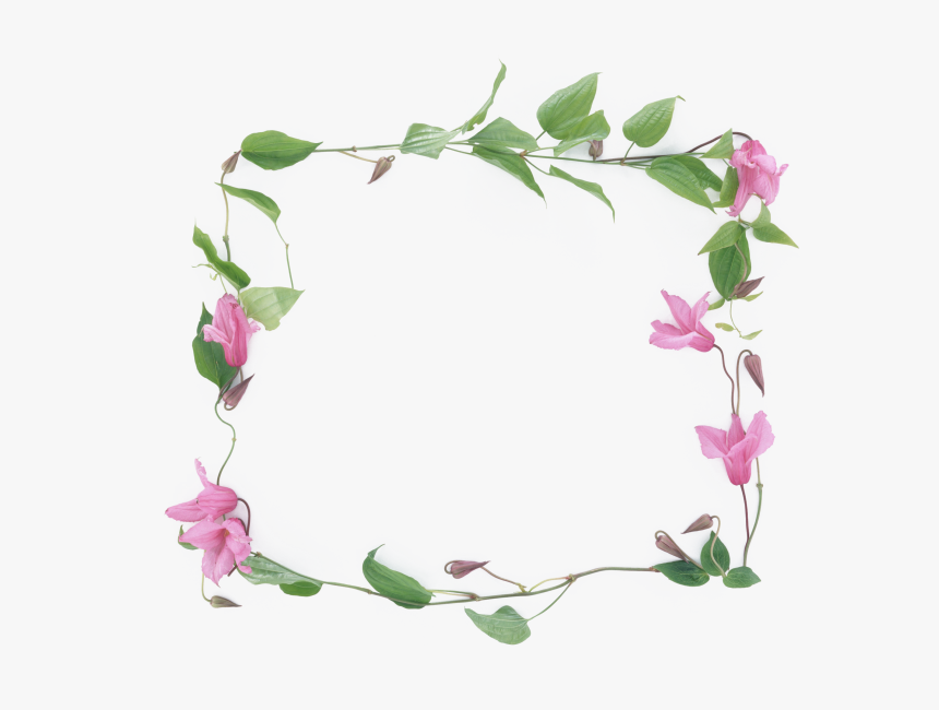 Transparent Garland Clipart - Flower Frames Design Png, Png Download, Free Download