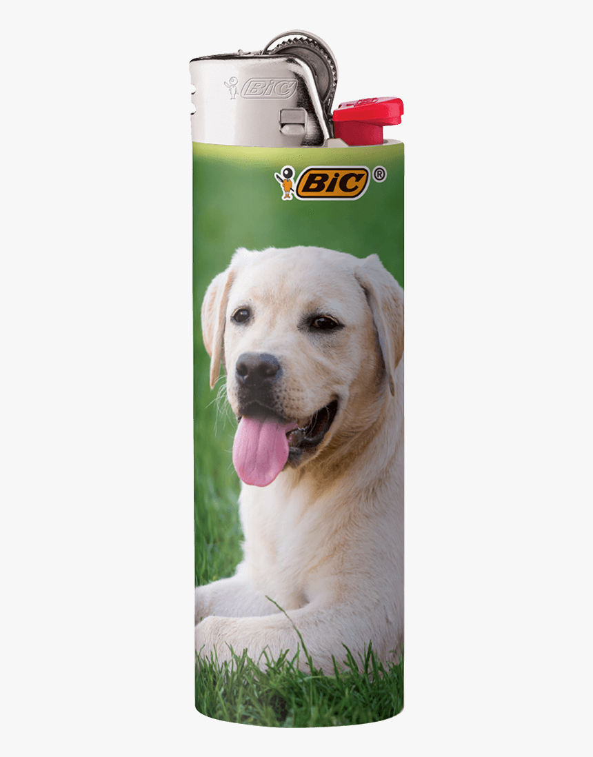 Bic, HD Png Download, Free Download