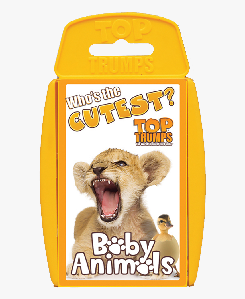 Top Trumps Baby Animals - Cat Yawns, HD Png Download, Free Download