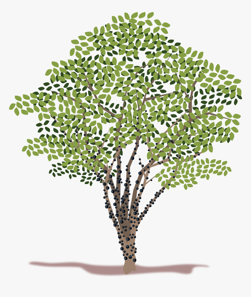 Spring Tree Vector Clipart - Transparent Background Clipart Tree Vector Png, Png Download, Free Download