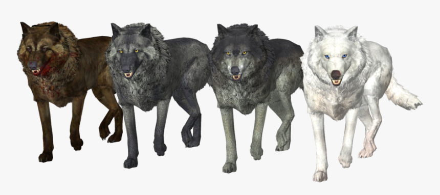 Wolf Pack Free Png Image - Transparent Background Wolf Pack Png, Png Download, Free Download