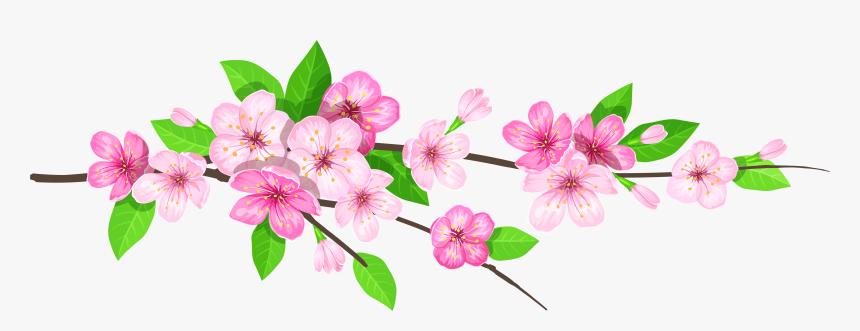 Spring Png - Flower Branch In Png, Transparent Png, Free Download