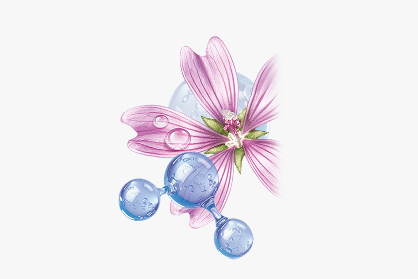 Crocus, HD Png Download, Free Download