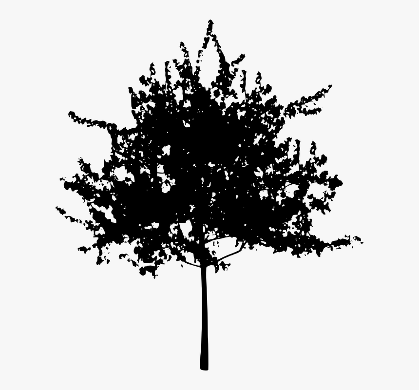 Bush Silhouette Png - Flower Tree Transparent Background, Png Download, Free Download