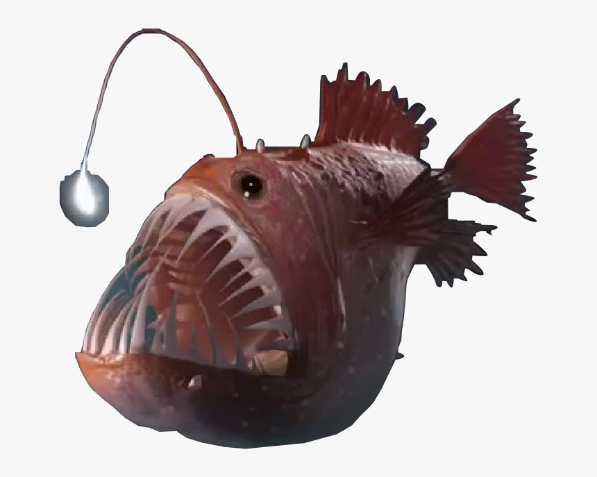 Angler Fish Png 8 » Png Image - Deep Sea Angler Fish Transparent, Png Download, Free Download