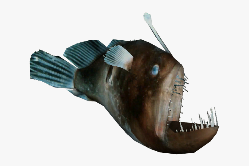 Zoo Tycoon 2 Anglerfish, HD Png Download, Free Download