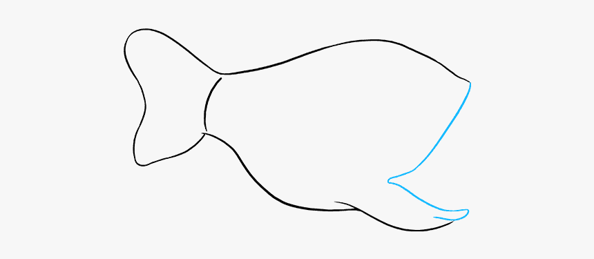 How To Draw Angler Fish - Flatfish, HD Png Download, Free Download