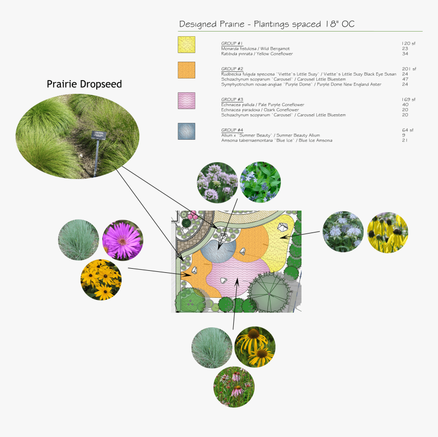 Naturalistic Front Yard Planting-plan - Circle, HD Png Download, Free Download