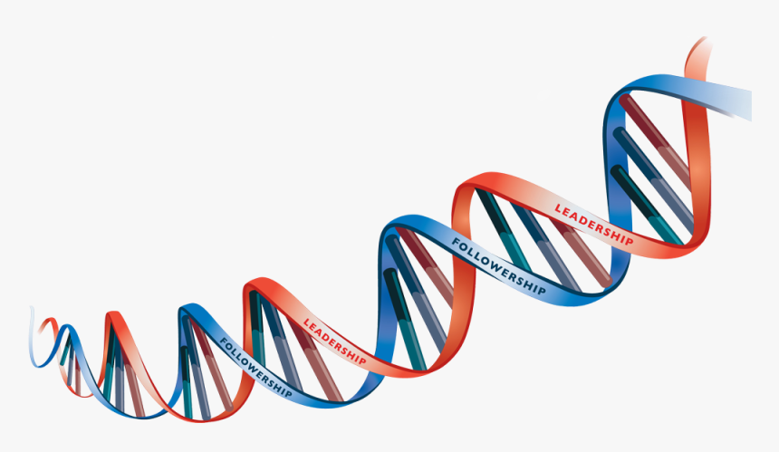 Dna Png Transparent Picture - Transparent Background Dna Png, Png Download, Free Download