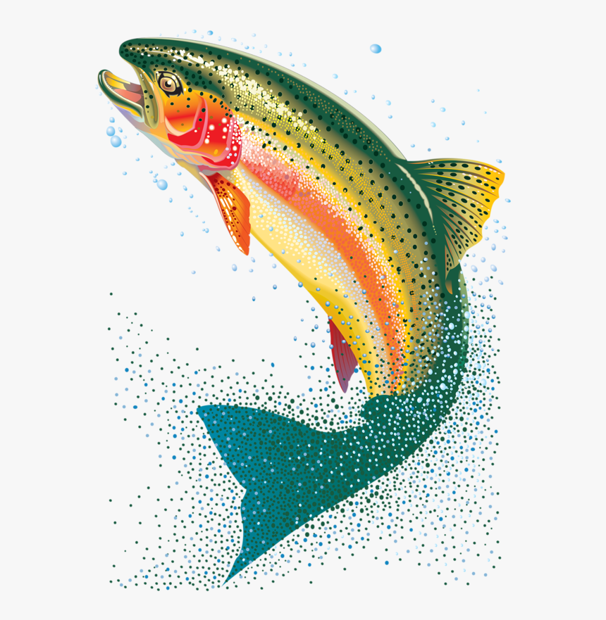 Transparent Background Trout Fish Png, Png Download, Free Download