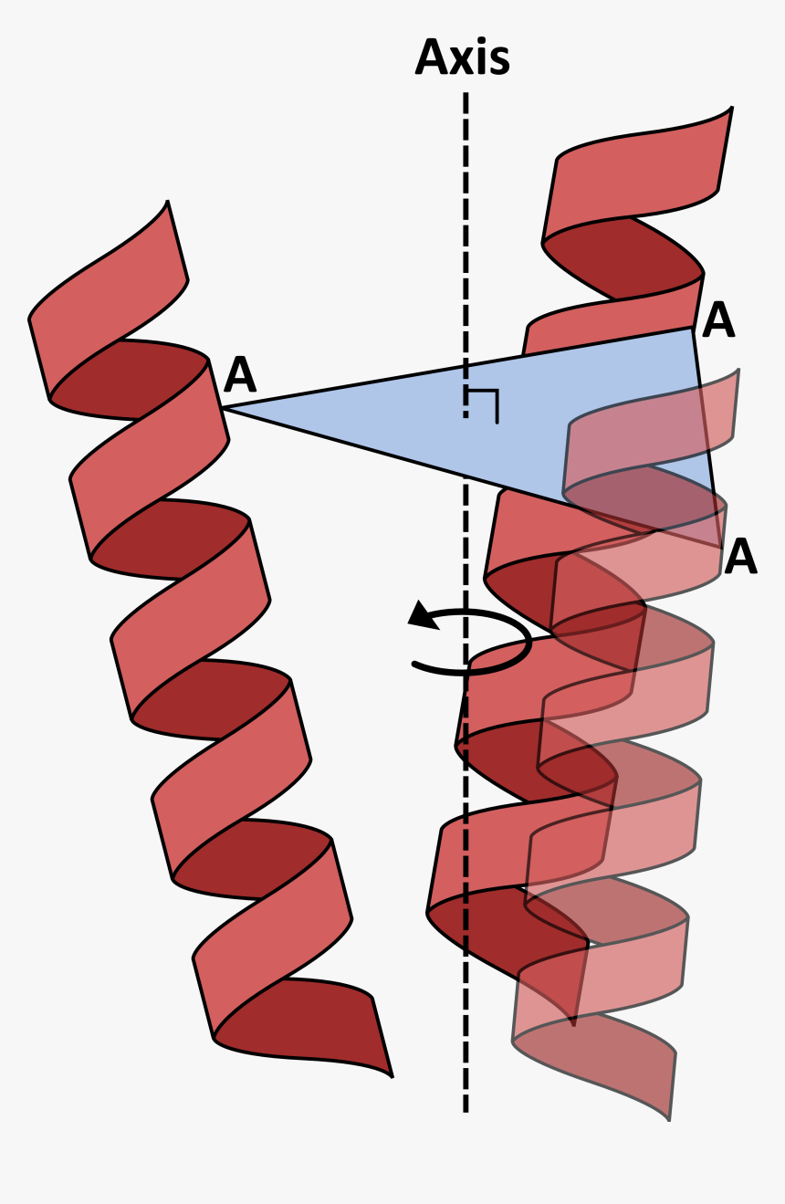 Axis Definition - Carmine, HD Png Download, Free Download