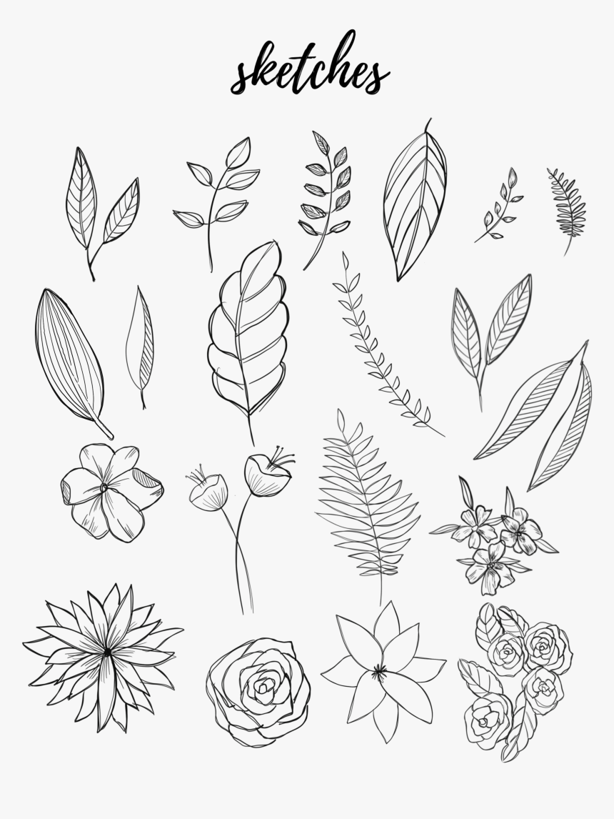 Free Botanical Drawings For Bullet Journaling - Flower Drawings Bullet Journal, HD Png Download, Free Download