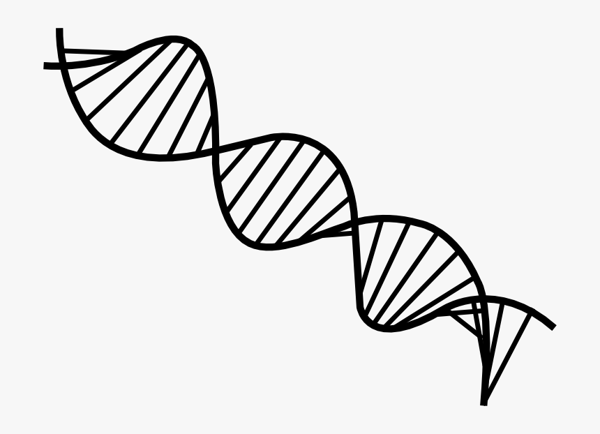 Transparent Dna Clipart Transparent - Transparent Background Dna Png, Png Download, Free Download