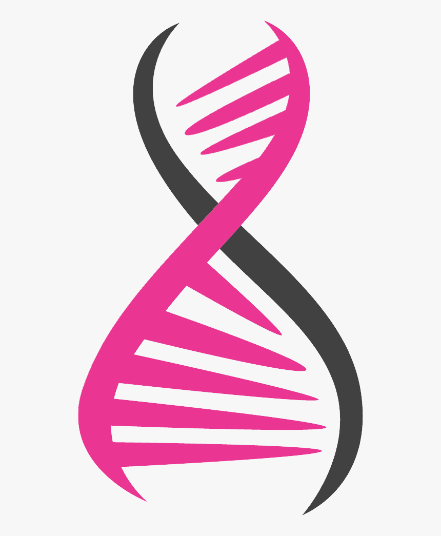 Dna Png - Dna Png Hd, Transparent Png, Free Download