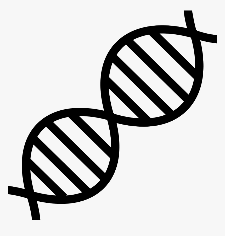 Dna Clip Art Genetics Nucleic Acid Double Helix - Transparent Dna Clipart, HD Png Download, Free Download