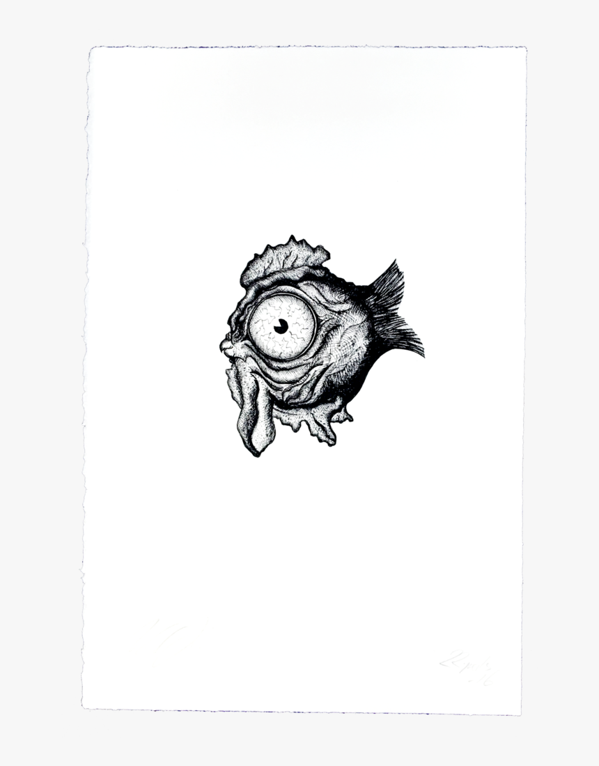 Roosterfish - Sketch, HD Png Download, Free Download