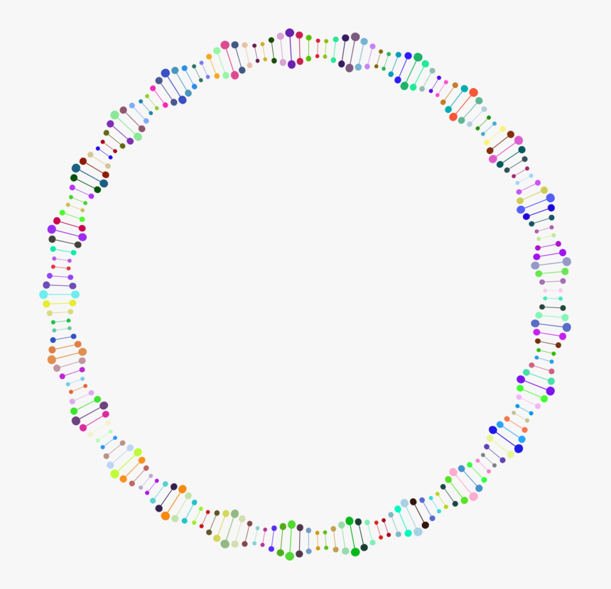 Transparent Dna Helix Clipart - Double Helix Circle, HD Png Download, Free Download