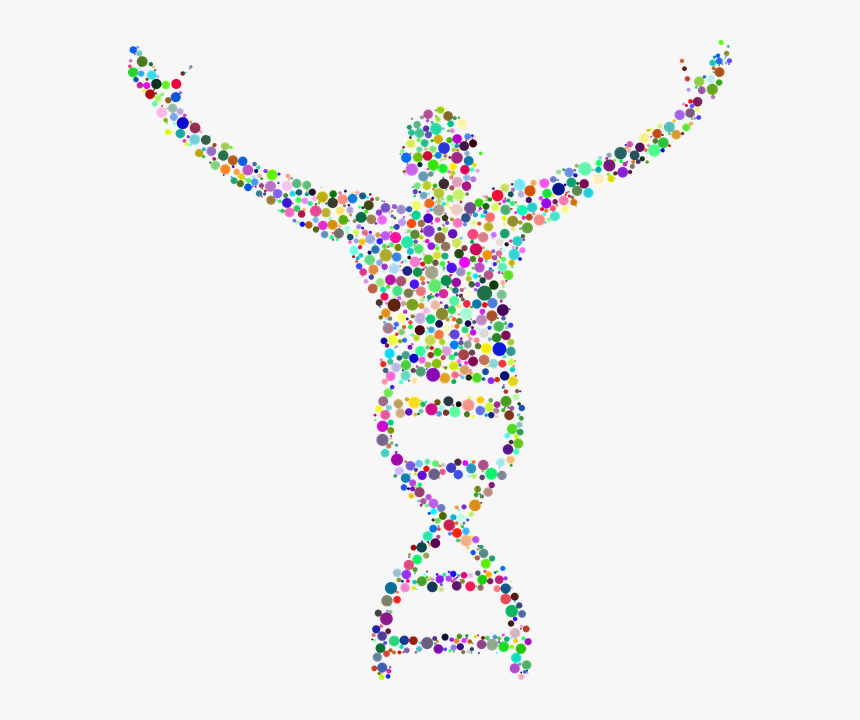 Dna Human, HD Png Download, Free Download