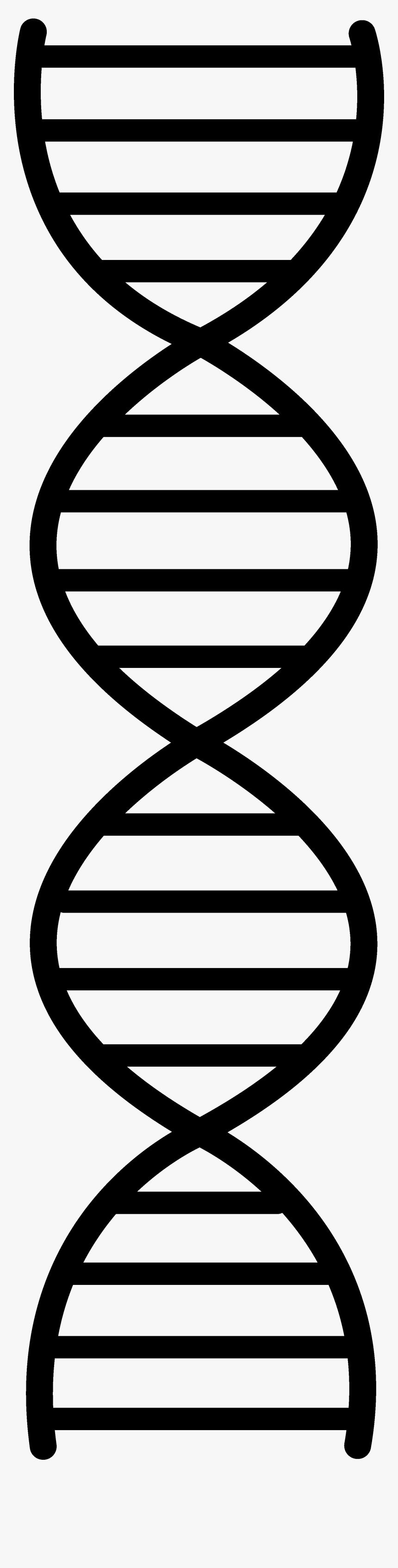 Dna Clipart Images Pictures - Double Helix Drawing Easy, HD Png Download, Free Download