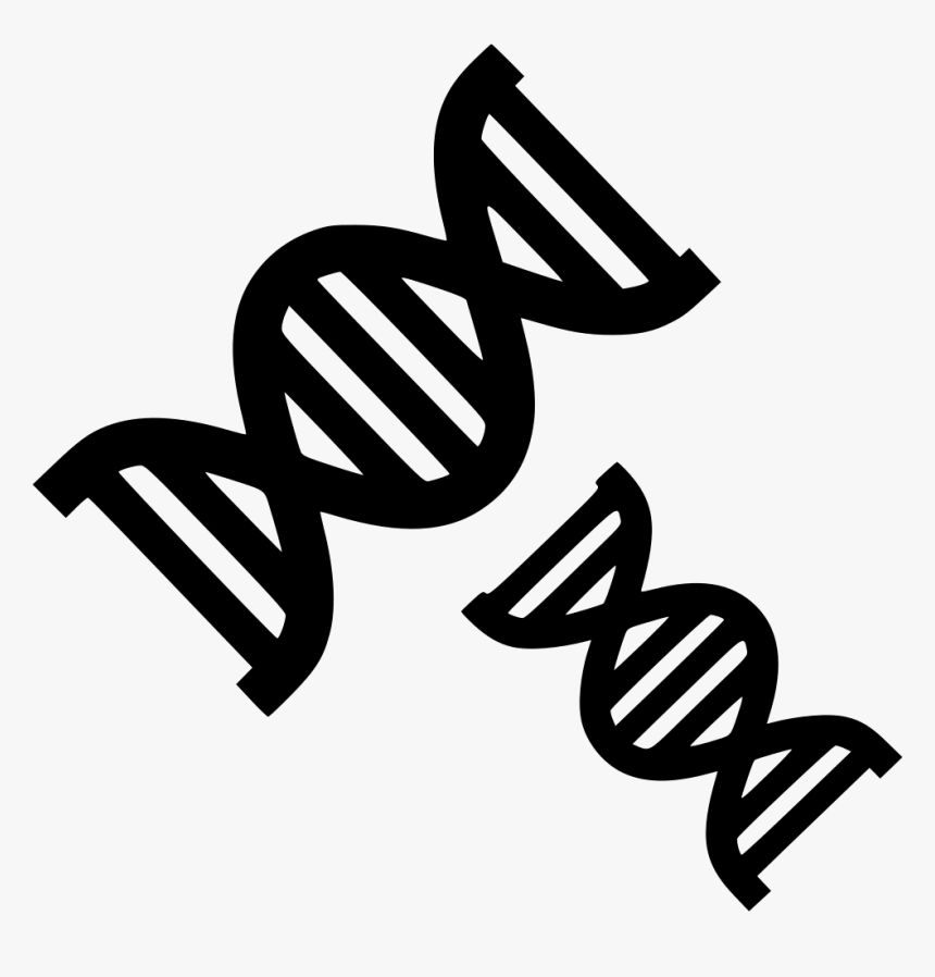 Transparent Dna Clipart - Dna Vector Transparent, HD Png Download, Free Download