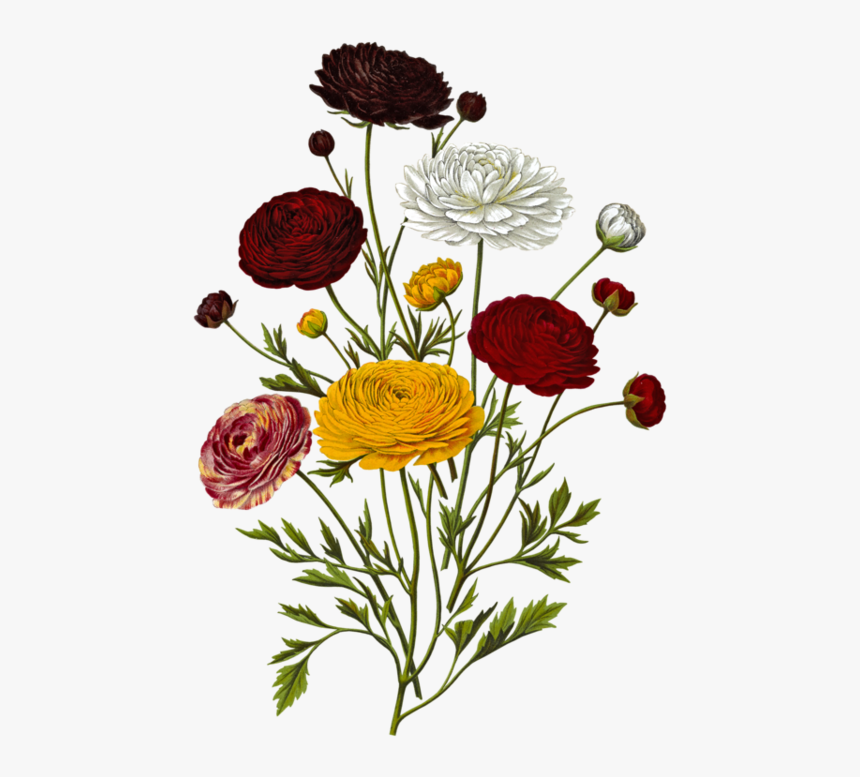 Toutes Les Fleurs, Clip Art - Bouquet Fleurs Illustration Png, Transparent Png, Free Download