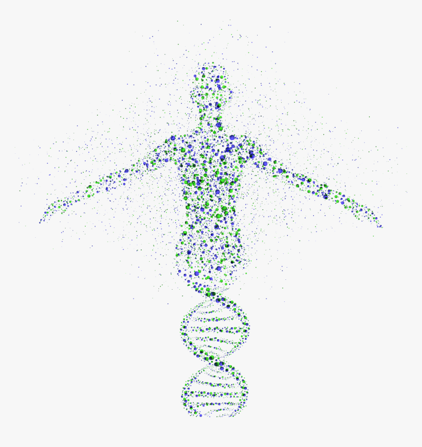 Genomics Genetic Testing Genetics Dna Free Clipart - Human Genome Project Png, Transparent Png, Free Download