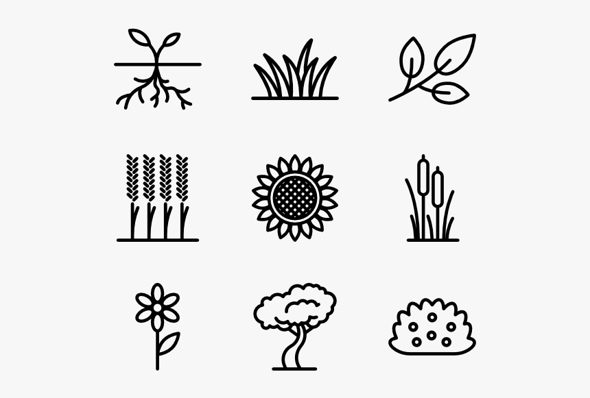 Plants And Flowers - Flower And Plant Icon, HD Png Download, Free Download
