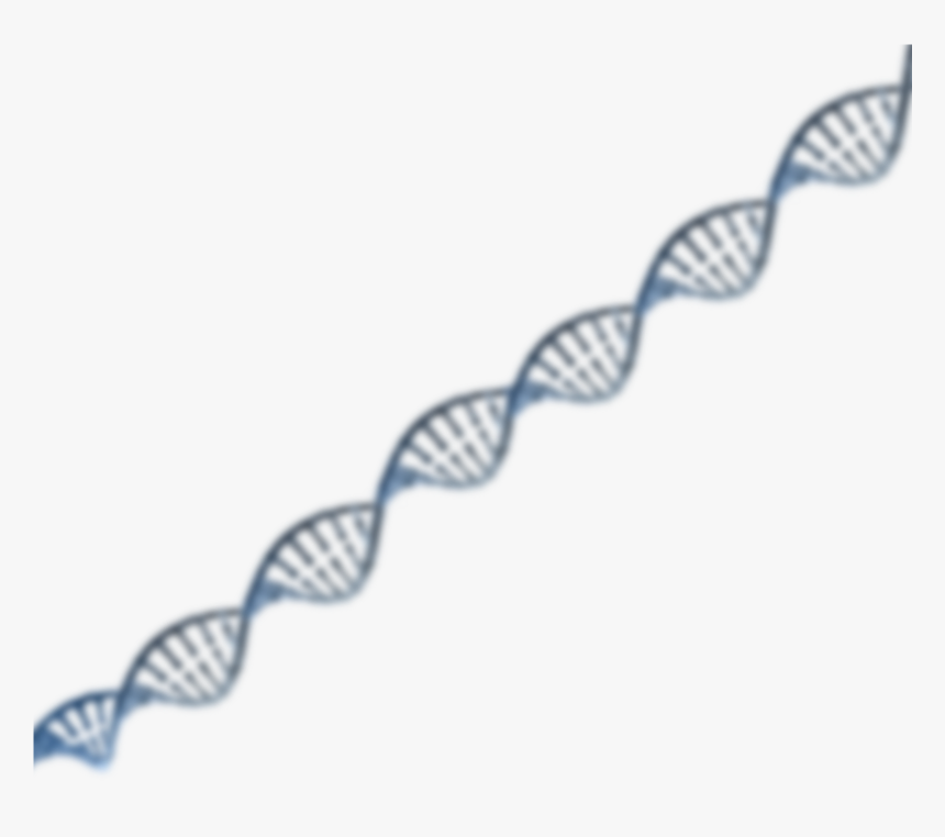 3d Dna Png Download - Dna Strand Transparent Background, Png Download, Free Download