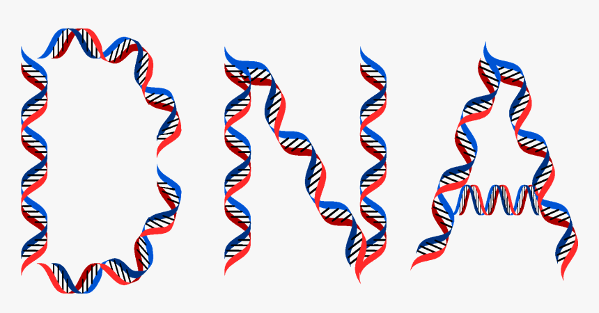 Dna Typography, HD Png Download, Free Download