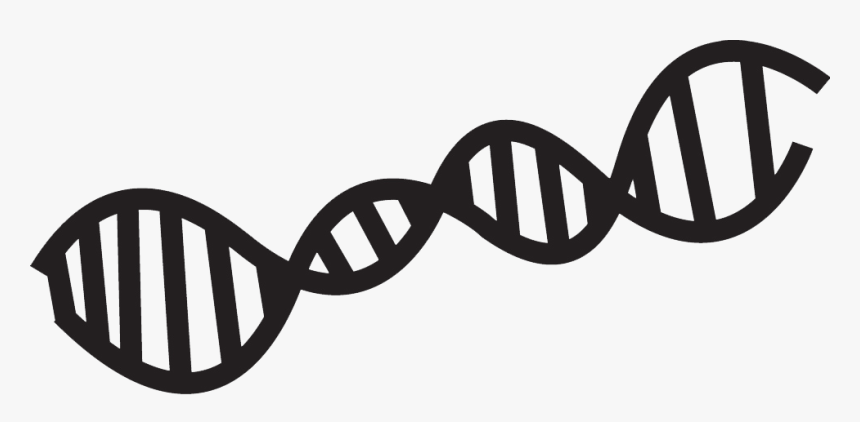 Science Clipart Black And White, HD Png Download, Free Download