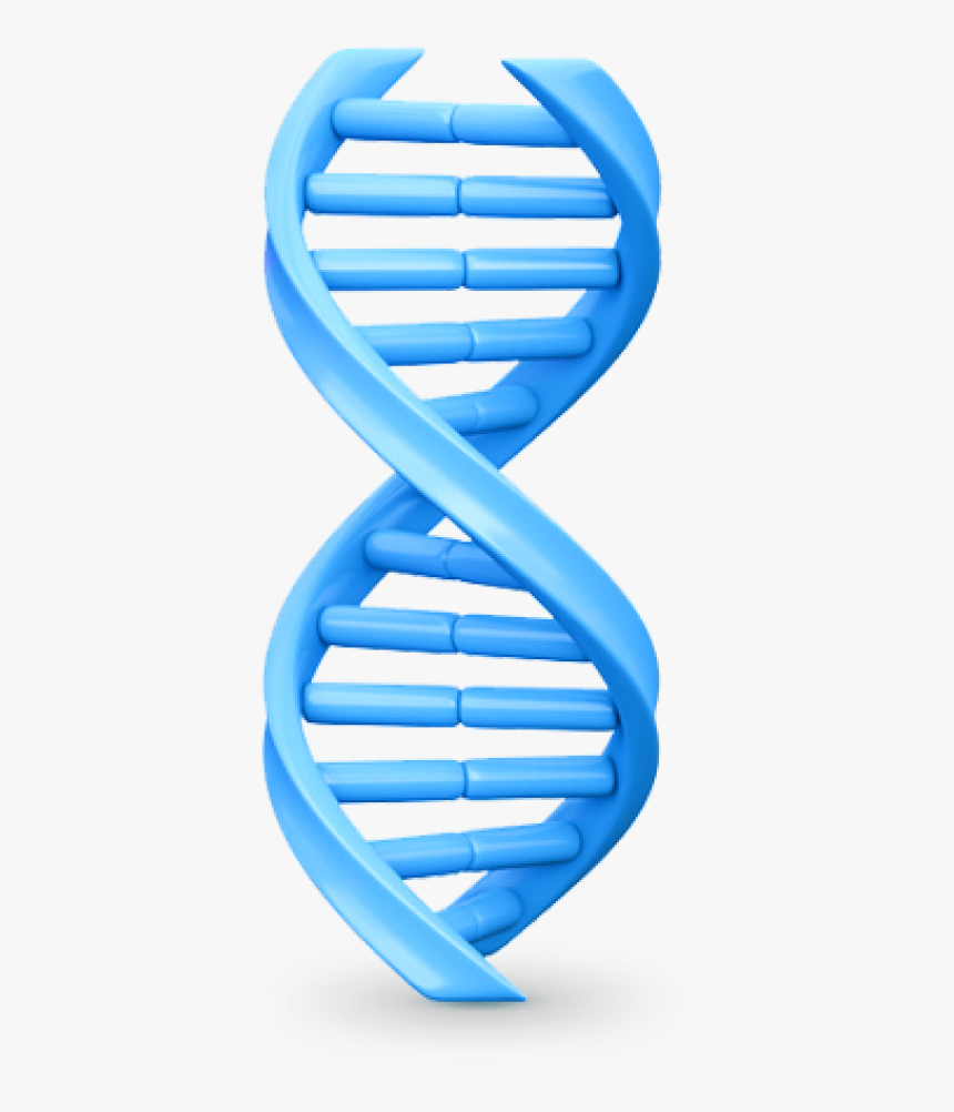 Dna Png, Download Png Image With Transparent Background, - Transparent Background Dna Helix Transparent, Png Download, Free Download