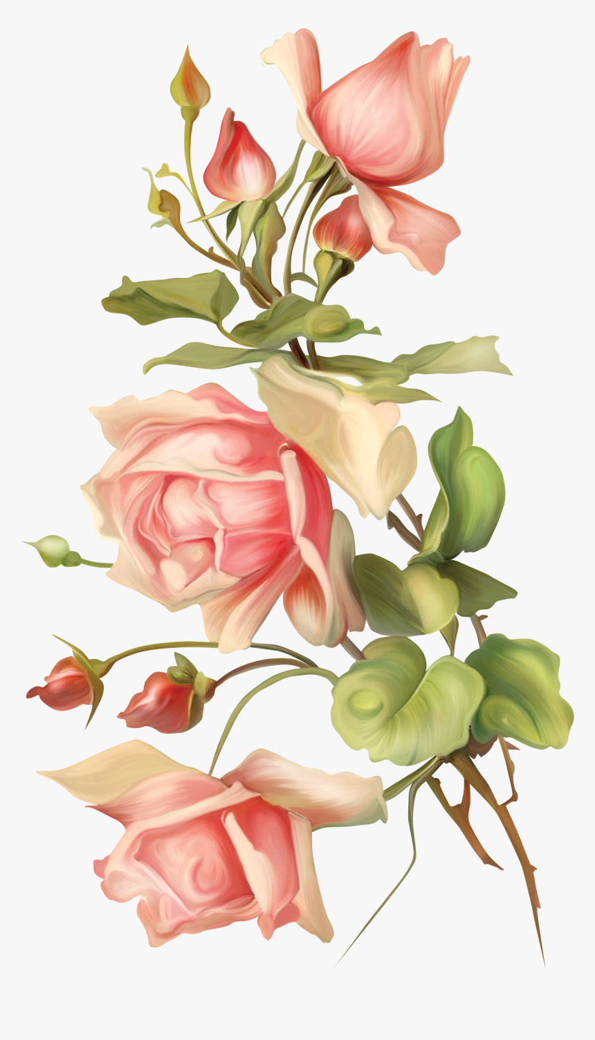 Rosas Flor Png Transparente, Png Download, Free Download