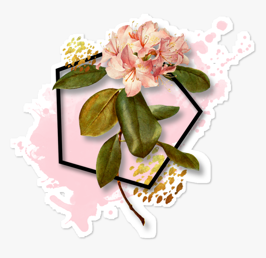 French Botanical Pink Flower Queen Duvet , Png Download - African Violets, Transparent Png, Free Download