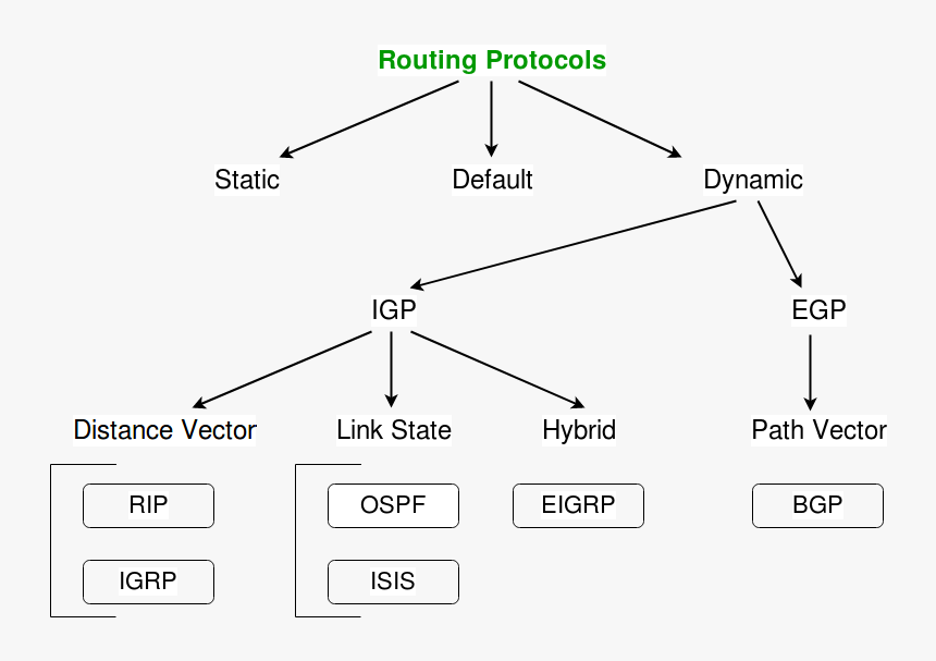 Routing Protocol Tree, HD Png Download, Free Download