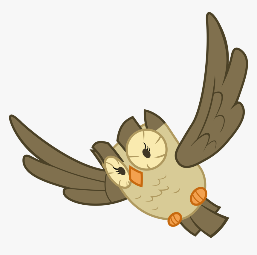 Cooltomorrowkid, Bird, Flying, Owl, Owlowiscious, Pet, - Mlp Owlowiscious, HD Png Download, Free Download