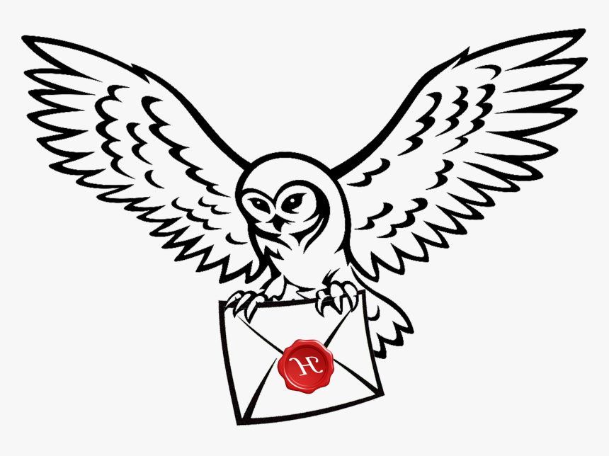 Owl Harry Potter Drawing Clip Art Image - Harry Potter Owl Drawing Easy, HD Png Download, Free Download