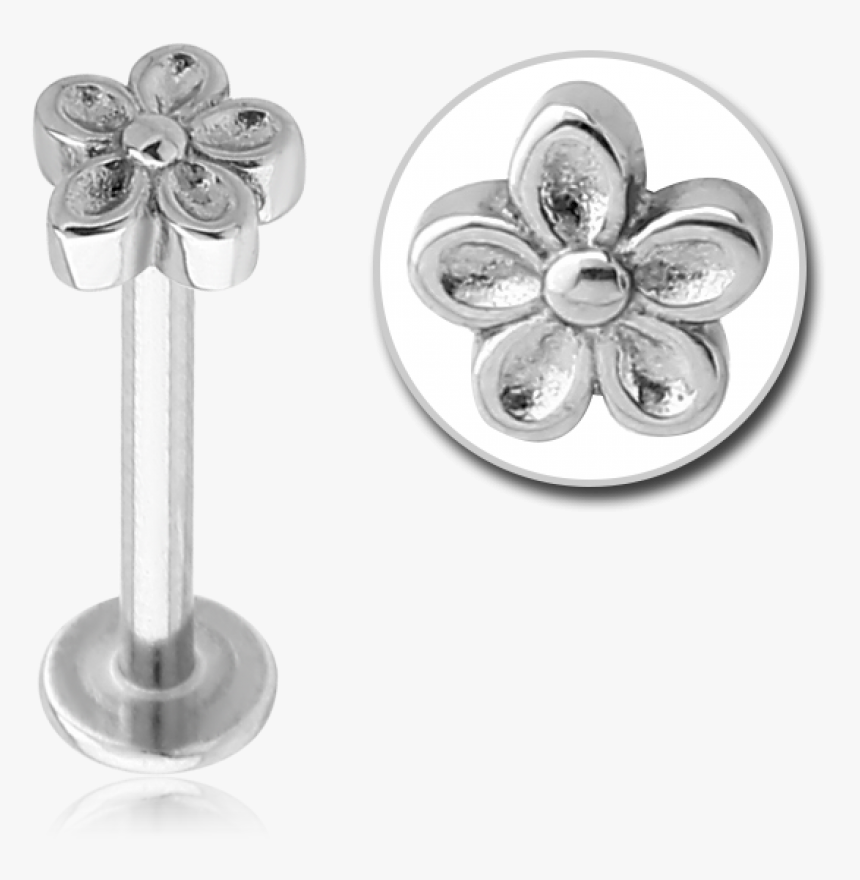 Tragus / Labret Piercing - Earrings, HD Png Download, Free Download