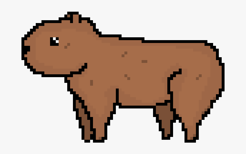 Capybara Conservation