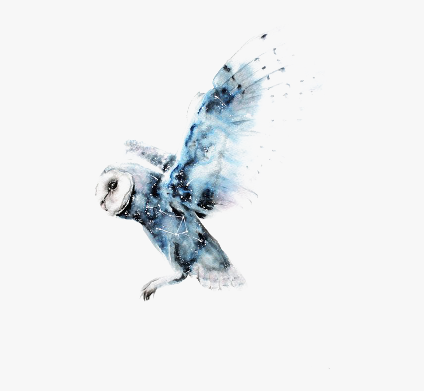 Owl Art Potter Watercolor Harry Painting Drawing - Rabidzen All I Am, HD Png Download, Free Download