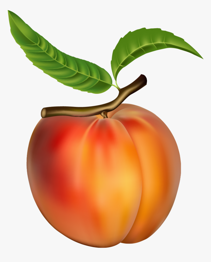 Peach Png Clipart - Peach Fruit, Transparent Png, Free Download